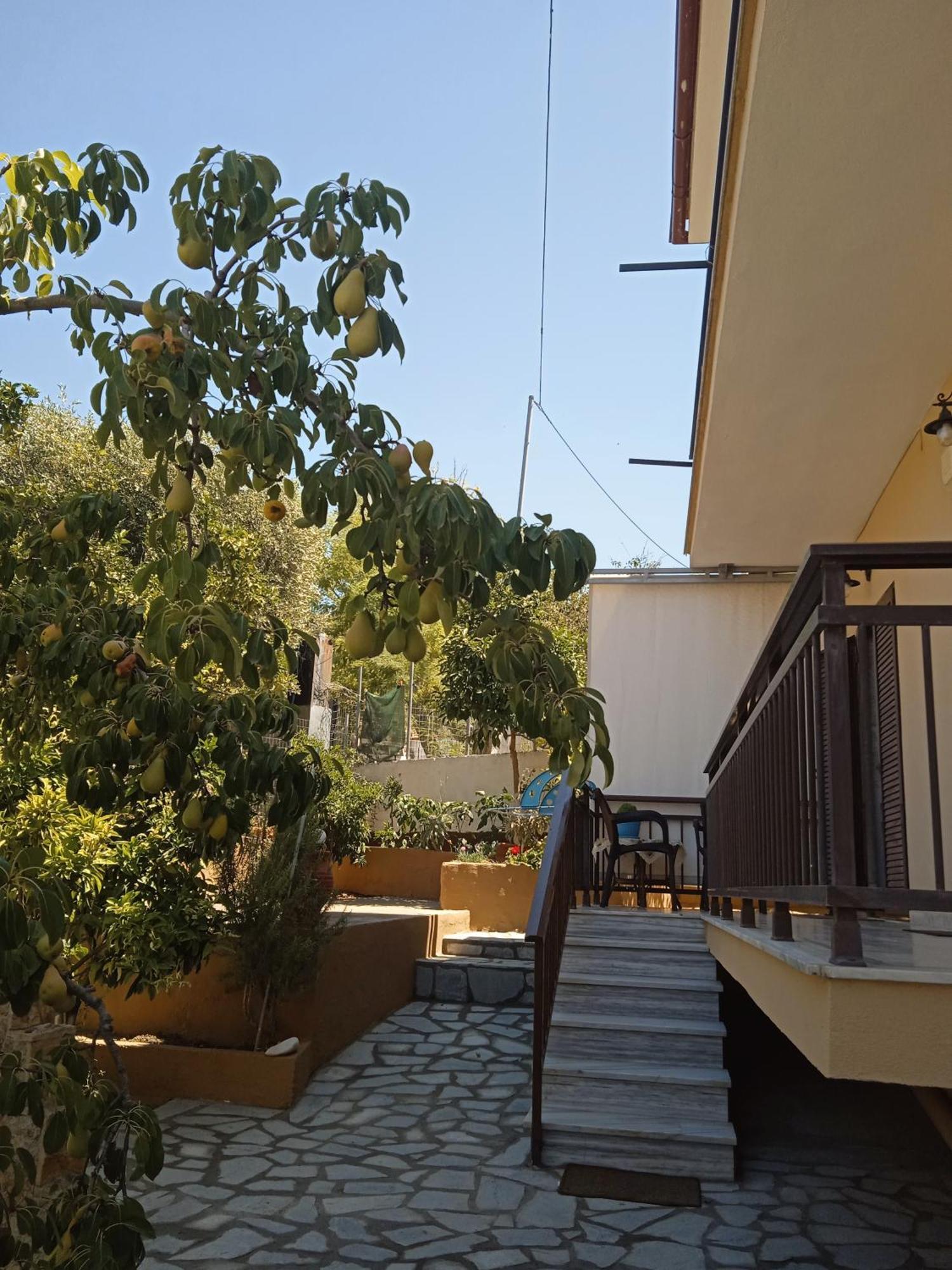 Dimitra'S Garden Apartments Skála Kallirákhis Eksteriør billede